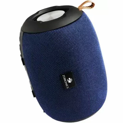 portable bt speaker zebronics